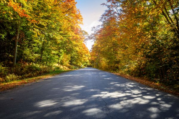 Cost of Blacktop Replacement in Bloomington