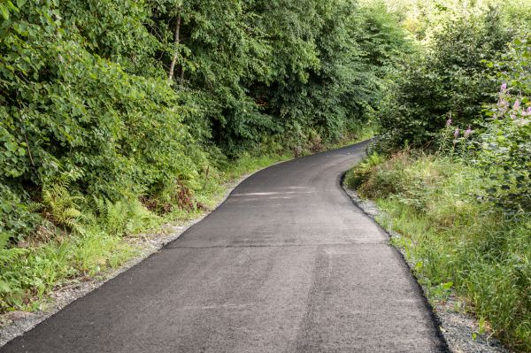 Cost of Asphalt Driveway Replacement in Bloomington